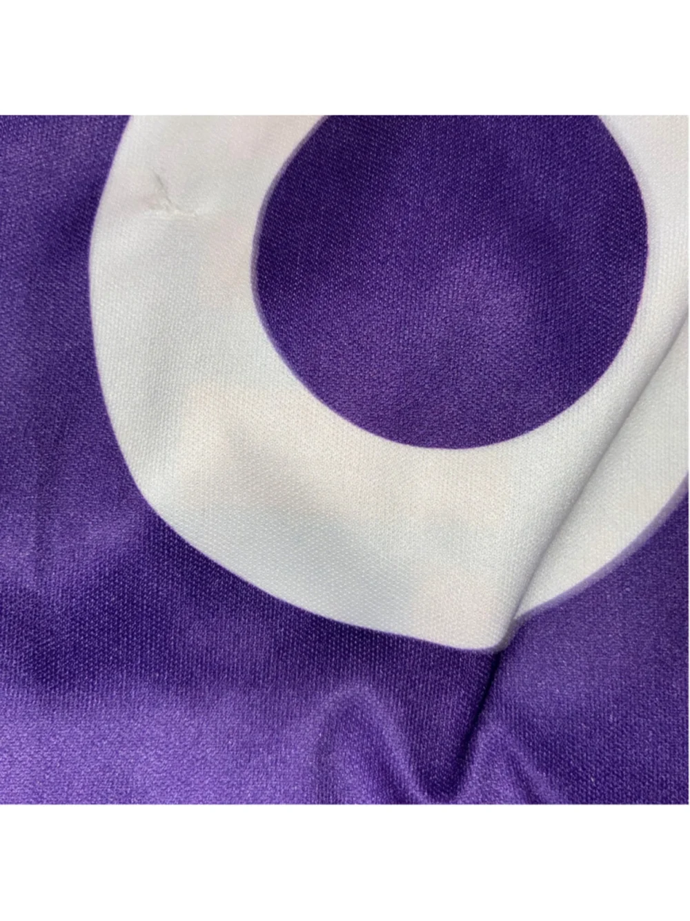Disney Women's Orlando Pride Hispanic American Heritage Scarf Purple Orange